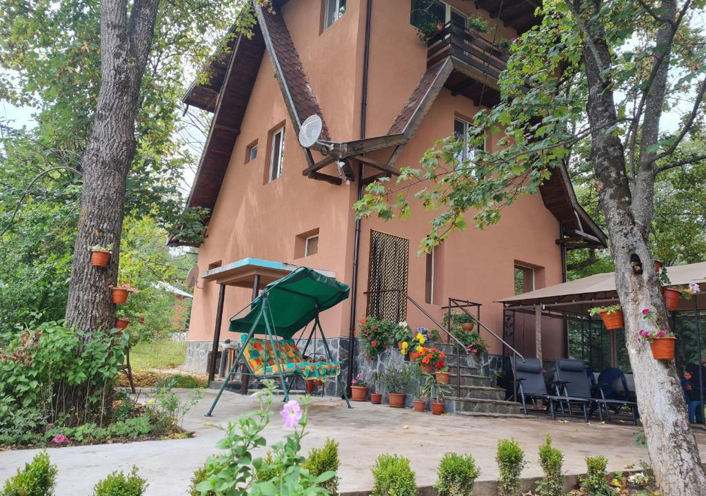 Tsigov Chark House | Вила Вайлин
