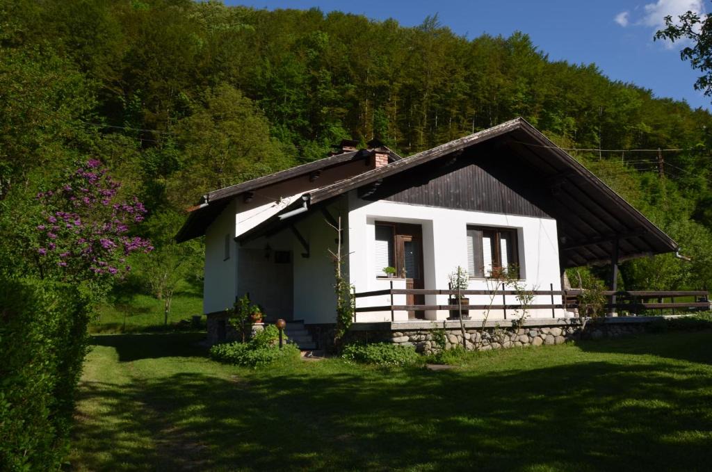 Ribaritsa Villa | Вила Даяна