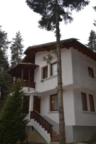 Tsigov Chark House | Вила Пенчеви, кк. Цигов чарк