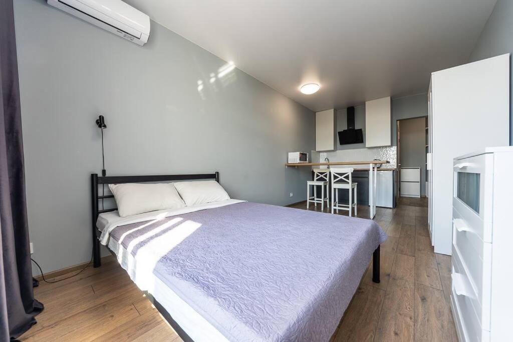 Solomjanskyj Apartment | Однокомнатная студия на Полевой