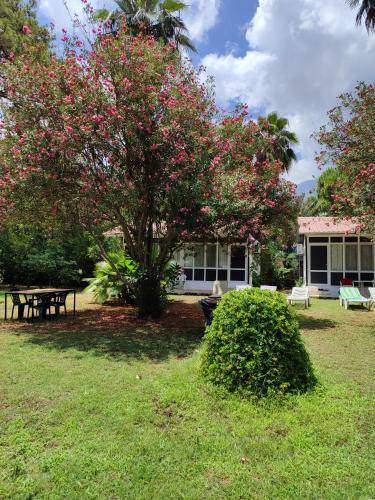 Adrasan Bed & Breakfast | 17 m² Bed and breakfast ∙ 2 guests