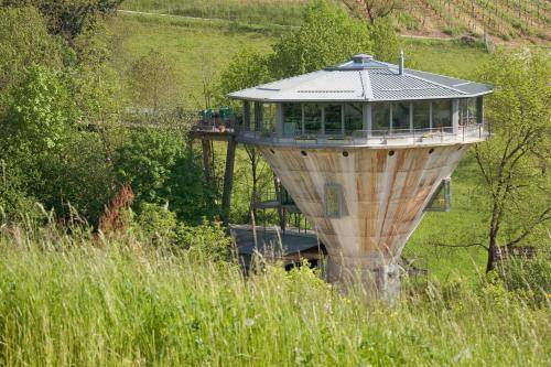 Herznach Bed & Breakfast | 20 m² Bed and breakfast ∙ 4 guests