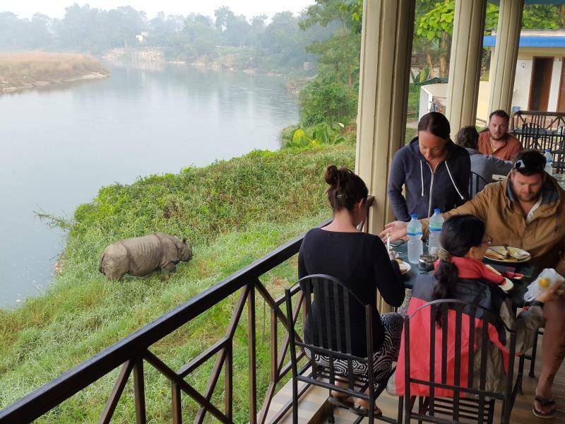 Sauraha Resort | 32 m² Resort ∙ 3 guests