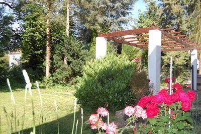 Bad Nauheim Apartment | 50 m² Apartment ∙ 1 bedroom ∙ 3 guests