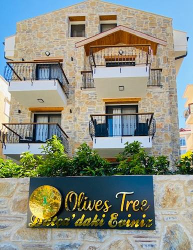 Datca City Center Bed & Breakfast | olives tree