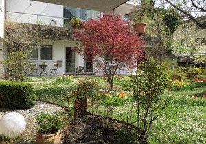 43 m² Apartment ∙ 4 guests