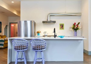 Aloha 2.0 Tropical Oasis in the heart of Wicker Park that sleeps 23 + backyard patio