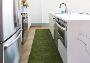 Aloha 2.0 Tropical Oasis in the heart of Wicker Park that sleeps 23 + backyard patio