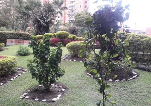 Apartamento privado estadio