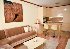 Aphrodite apartment Bansko 1