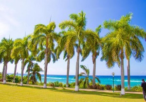 Beach Dreams at Seacastles