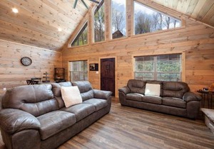 Creekside Manor Too cabin