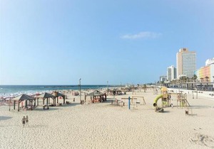 Reines5 TLV