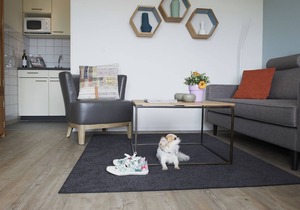 Sapinière Type C - One Bedroom Apartment, Sleeps 3