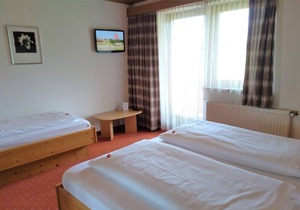 Triple room with shower, toilet - Hotel Edelweiss