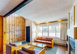 Village Green Condo - Shared Pool, Hot Tub & Tennis, High-Speed WiFi & Fireplace
