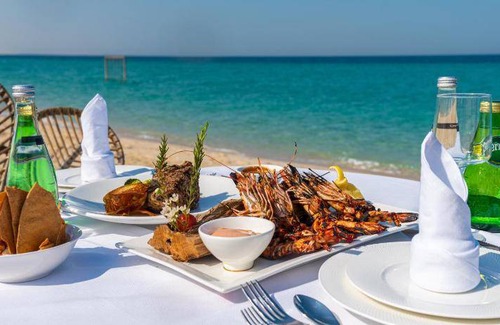 Mesaieed Other | 100 m² Tent ∙ 4 guests