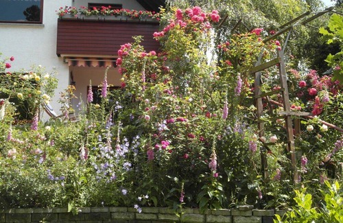 Rheinbreitbach House | 105 m² House ∙ 2 bedrooms ∙ 3 guests