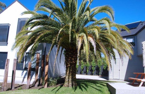 Beechworth Resort | 125 m² Resort ∙ 3 bedrooms ∙ 8 guests