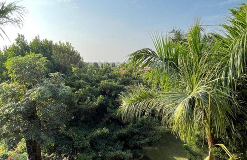 Sauraha Resort | 25 m² Resort ∙ 2 bedrooms ∙ 3 guests
