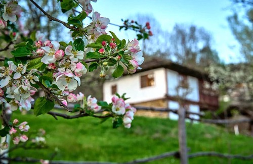 Selishte Other | Accommodation ∙ 4 bedrooms ∙ 7 guests