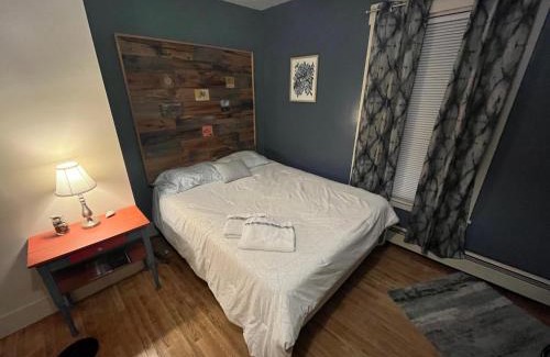Conway Hostel | CoHo: Conway Hostel