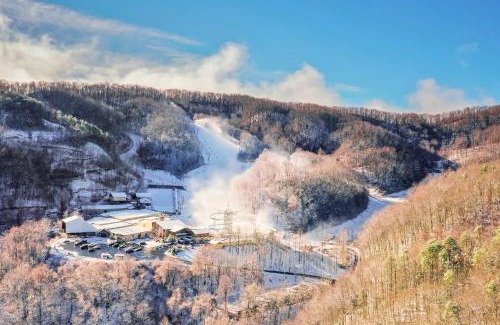 Chalet Village Apartment | Gatlinburg Summit Woods Condo