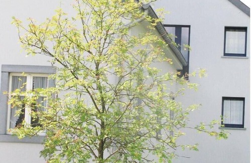 Luxembourg Ardennes Apartment | Nice apartment in Noertrange with WiFi