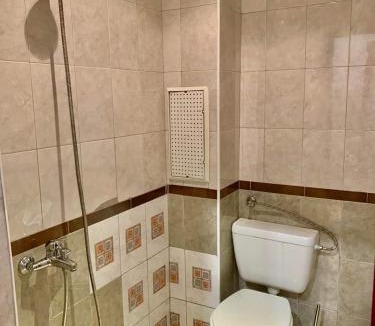 Lukovit Apartment | Апартамент Горски кът