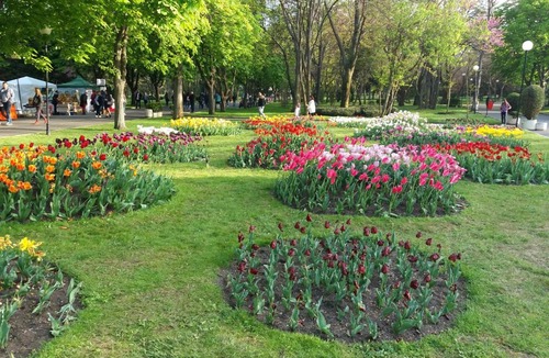 Burgas Apartment | Апартамент Лазур