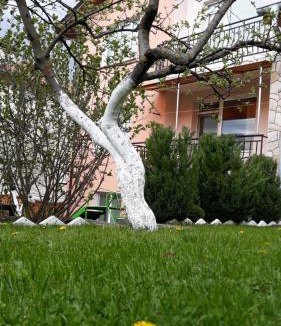 Dospat House | Вила Багрянови