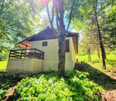 Mezdra Apartment | Къмпинг и Бунгала Брусен Хил - Camping and Bungalows Brusen Hill