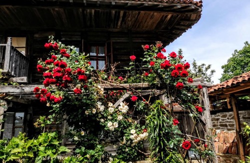Zheravna House | Къщата на художника