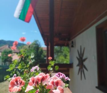 Ribaritsa Hotel | Къща за гости Аврамови