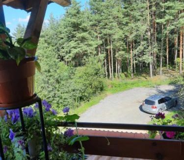 Vranyantsi House | Райчевата къща - Кюстендил