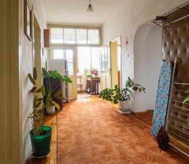 Razlog Apartment | Стаи за гости Божана