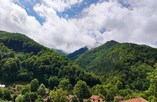Ribaritsa Villa | Терасите - Къща 4