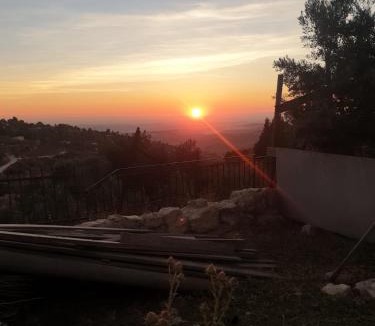 Jaffa House | בין הצמרות - צימר בבת עין