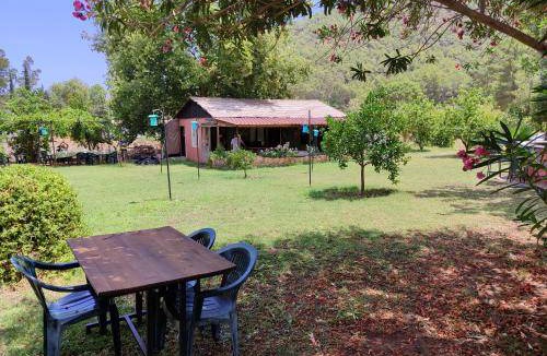 Adrasan Bed & Breakfast | 17 m² Bed and breakfast ∙ 2 guests