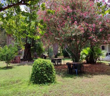 Adrasan Bed & Breakfast | 17 m² Bed and breakfast ∙ 2 guests