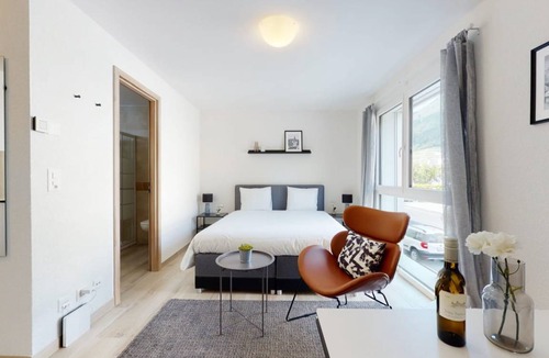 Aigle Apartment | 20 m² Studio flat ∙ 1 bedroom ∙ 2 guests