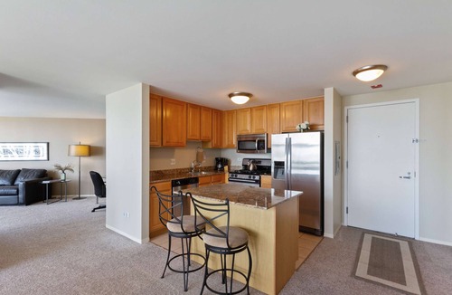 Downtown Chicago Apartment | 51st Floor MagMile Penthouse Views Balcony Pool