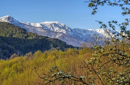 Selishte Other | Accommodation ∙ 4 bedrooms ∙ 7 guests