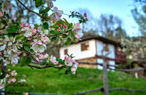 Selishte Other | Accommodation ∙ 4 bedrooms ∙ 7 guests