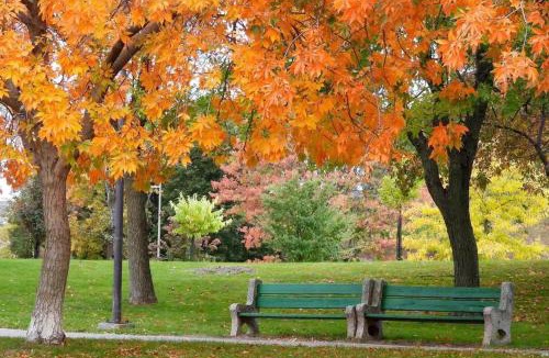 Saint-Bruno-de-Montarville Apartment | Basement 2-bedroom apartment near National Park and Montréal