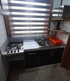 Panguipulli Apartment | Cabaña Punto Punahue