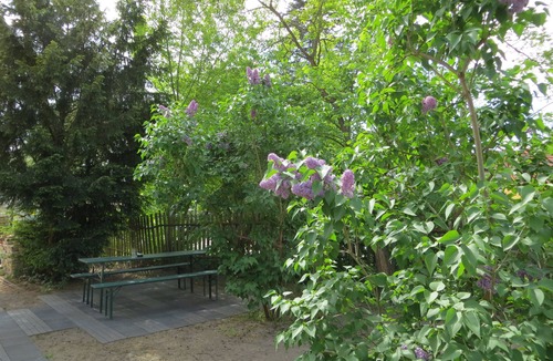 Schmoeckwitz Apartment | City and countryside, fully equipped apartment in the fisherman's house on the lake for 2