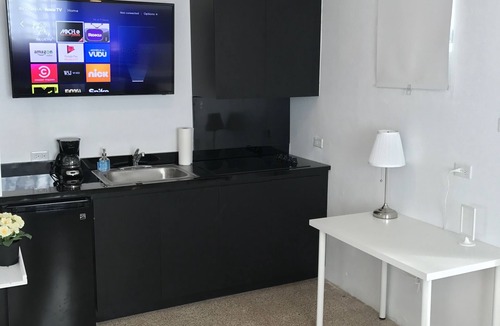 Ponce Centro Apartment | Enjoyable Studio with Private Pool/FREE WIFI - 102