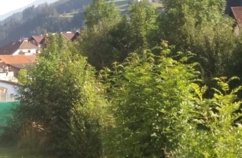 Steinach am Brenner Apartment | Ferienwohnung "Die 14"