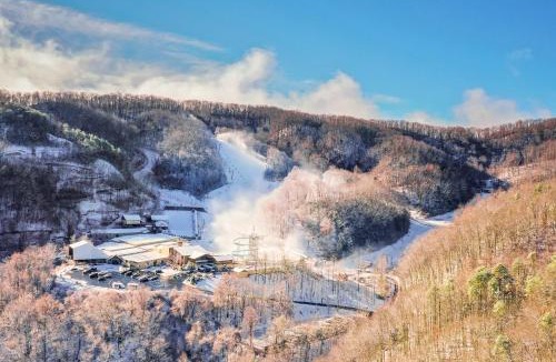 Chalet Village Apartment | Gatlinburg Summit Woods Condo